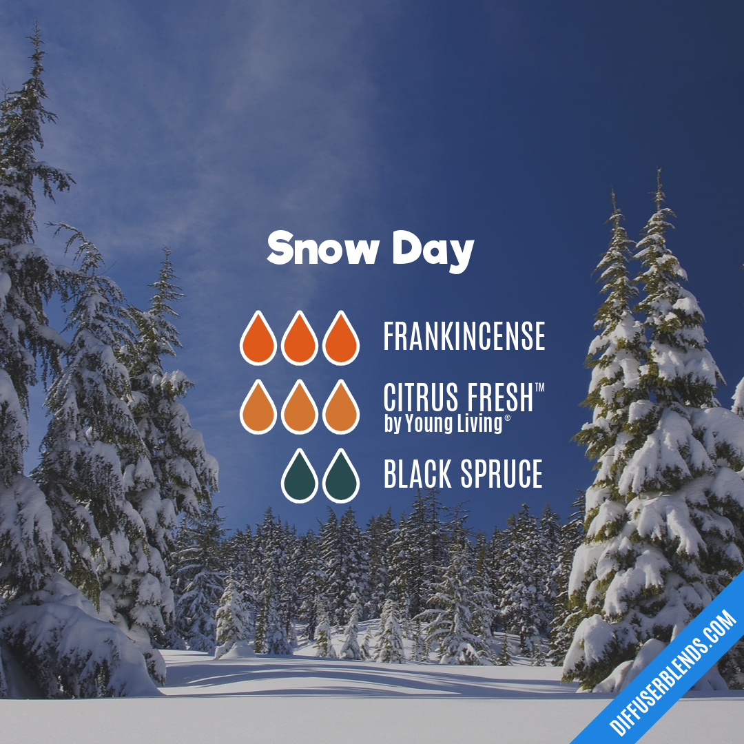 Snow Day — Essential Oil Diffuser Blend