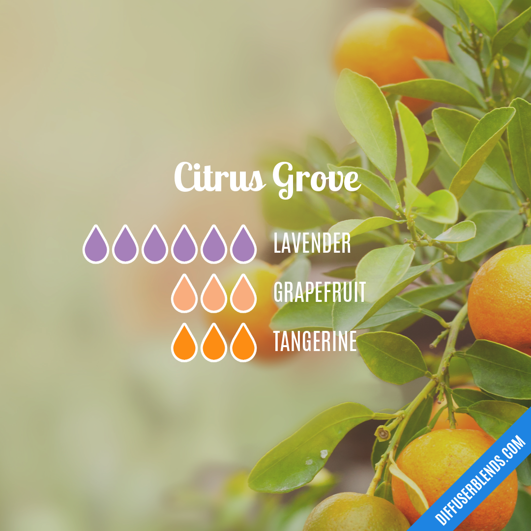 Citrus Grove — Essential Oil Diffuser Blend