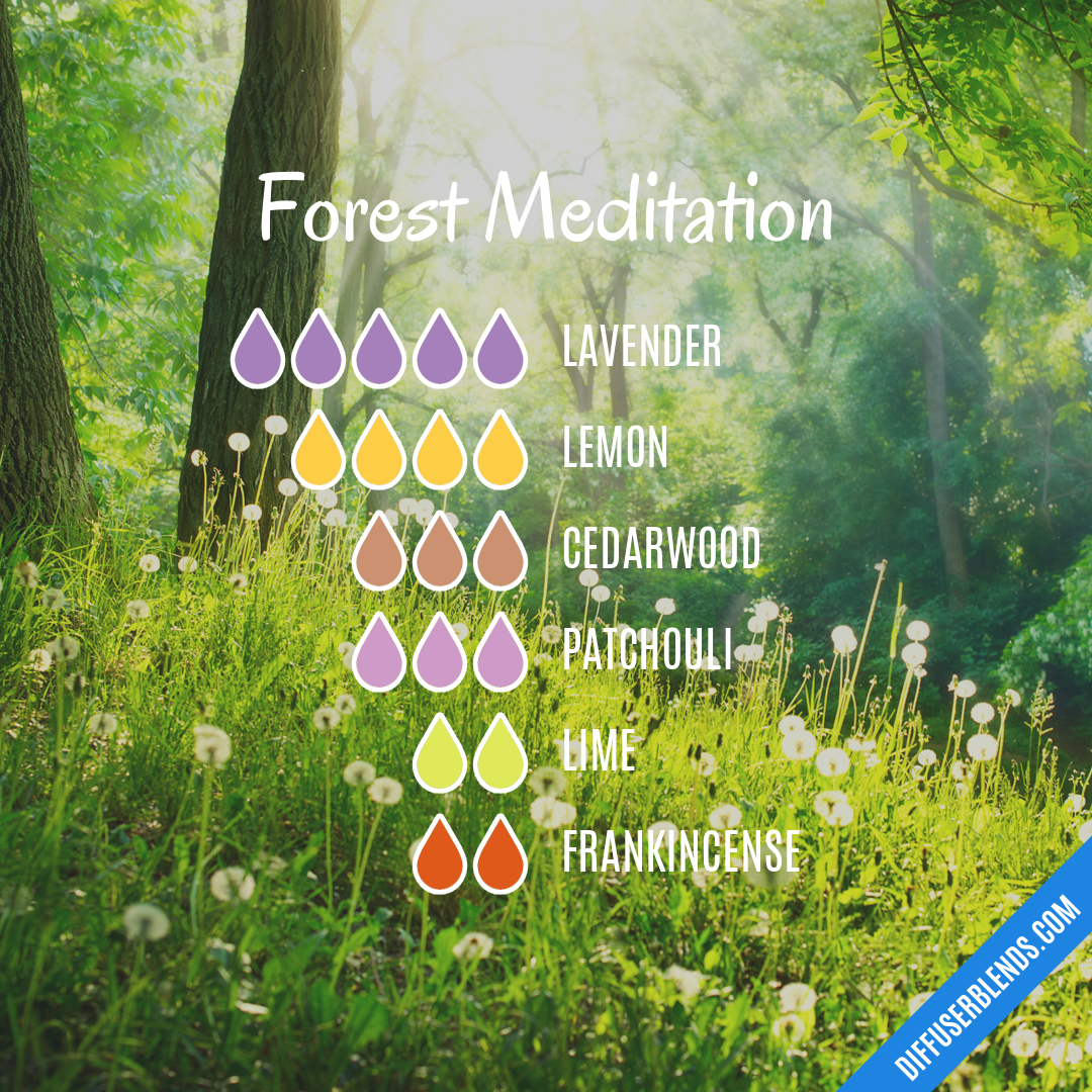 Forest Meditation — Essential Oil Diffuser Blend