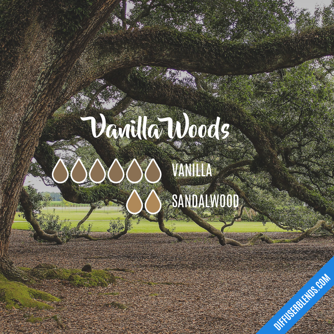 Vanilla Woods Essential Oil Blend – Petite Palm