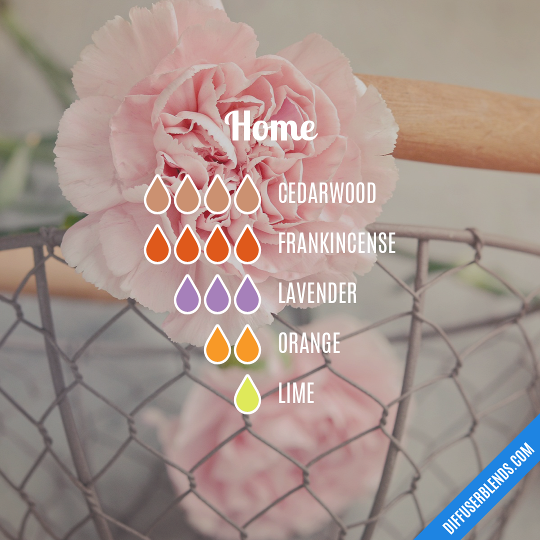 Home — Essential Oil Diffuser Blend