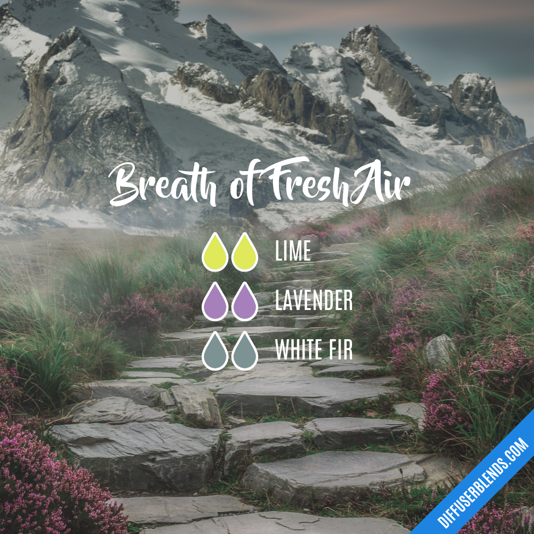 Breath of Fresh Air — Essential Oil Diffuser Blend