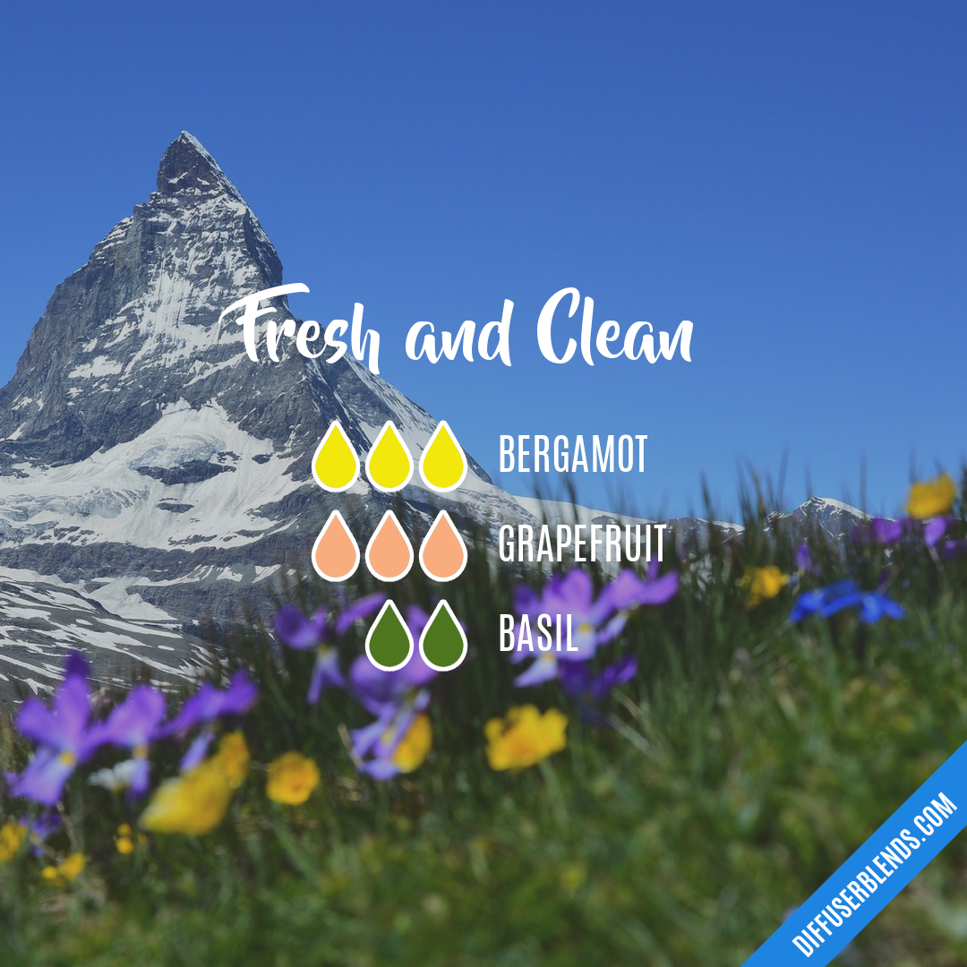 Fresh and Clean — Essential Oil Diffuser Blend