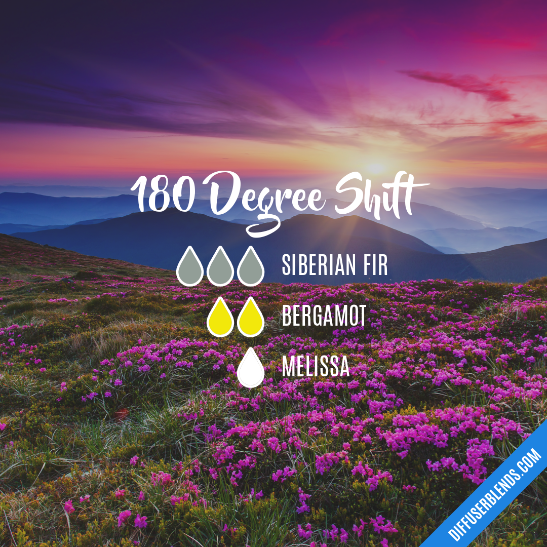 180 Degree Shift — Essential Oil Diffuser Blend