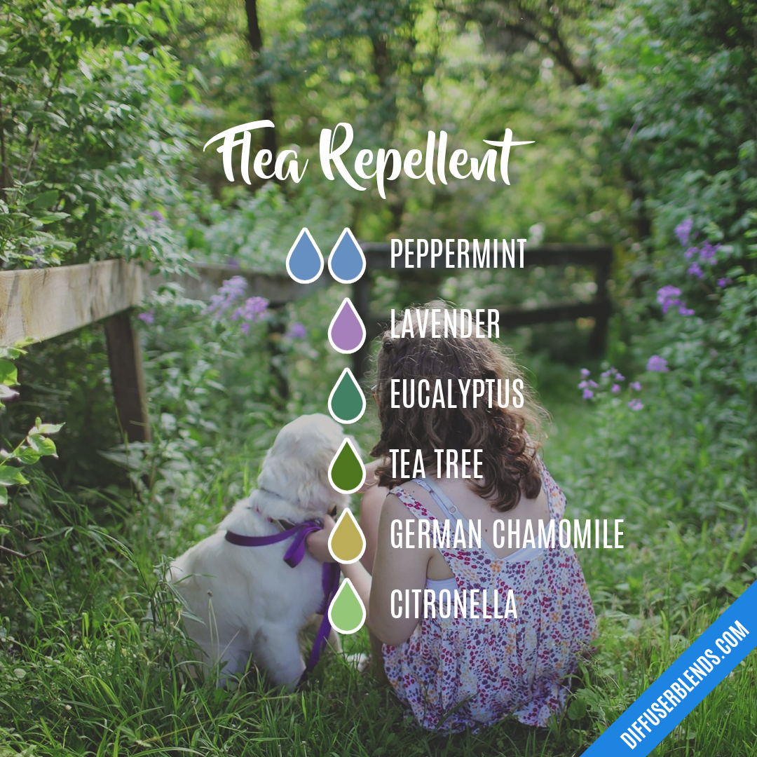 Flea Repellent — Essential Oil Diffuser Blend