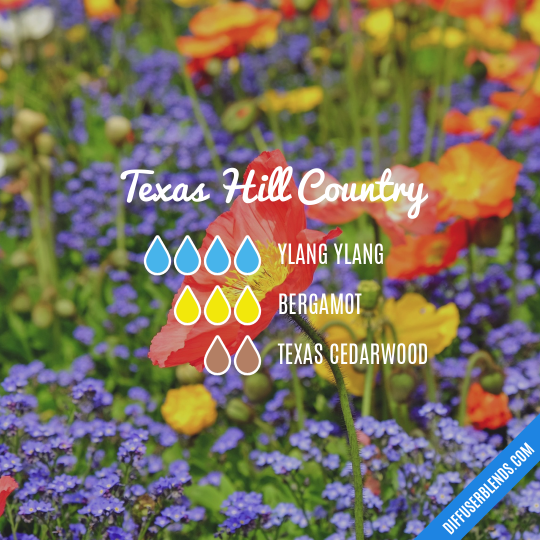 Texas Hill Country — Essential Oil Diffuser Blend