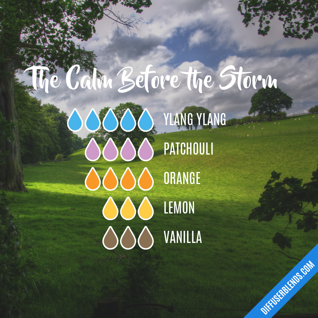 The Calm Before the Storm — Essential Oil Diffuser Blend