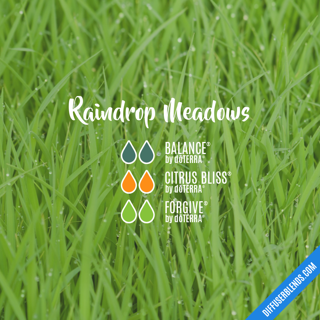 Raindrop Meadows — Essential Oil Diffuser Blend