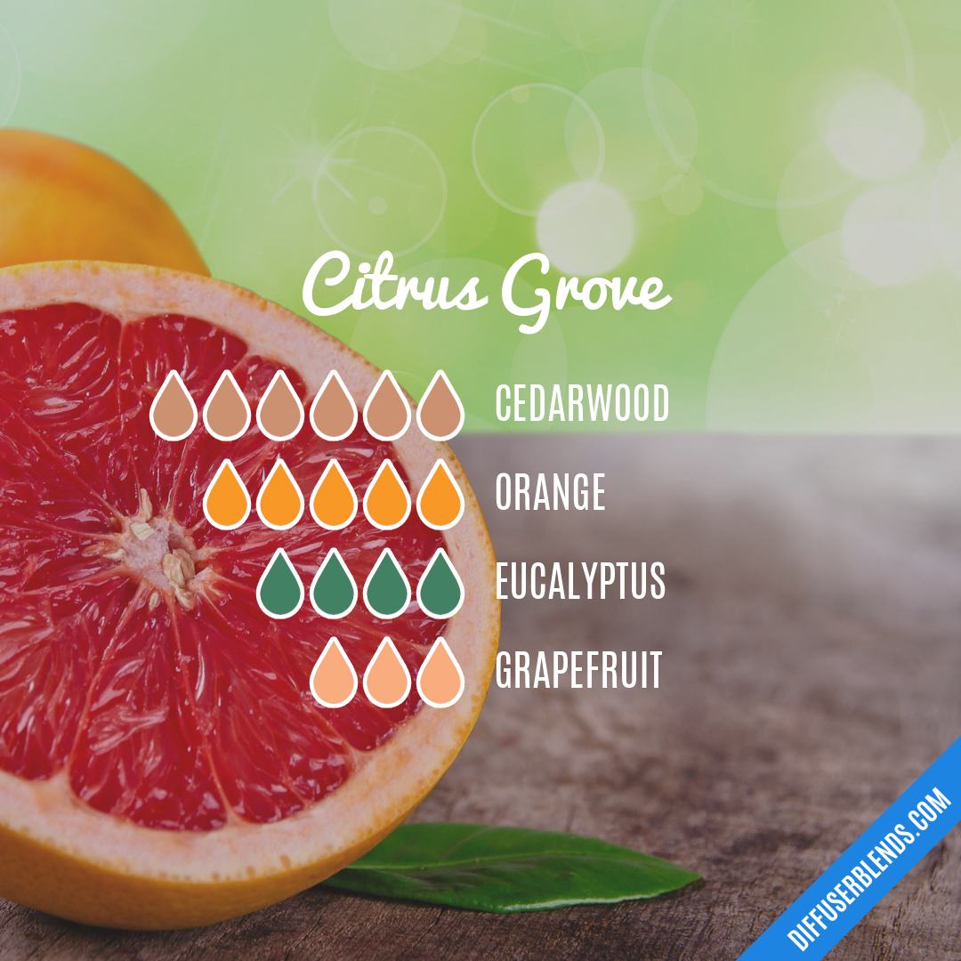 Citrus Grove — Essential Oil Diffuser Blend