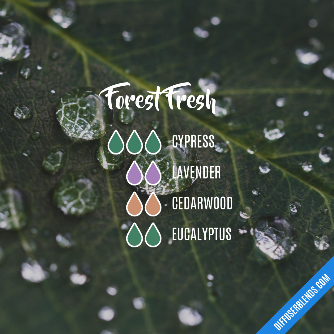 Forest Fresh — Essential Oil Diffuser Blend