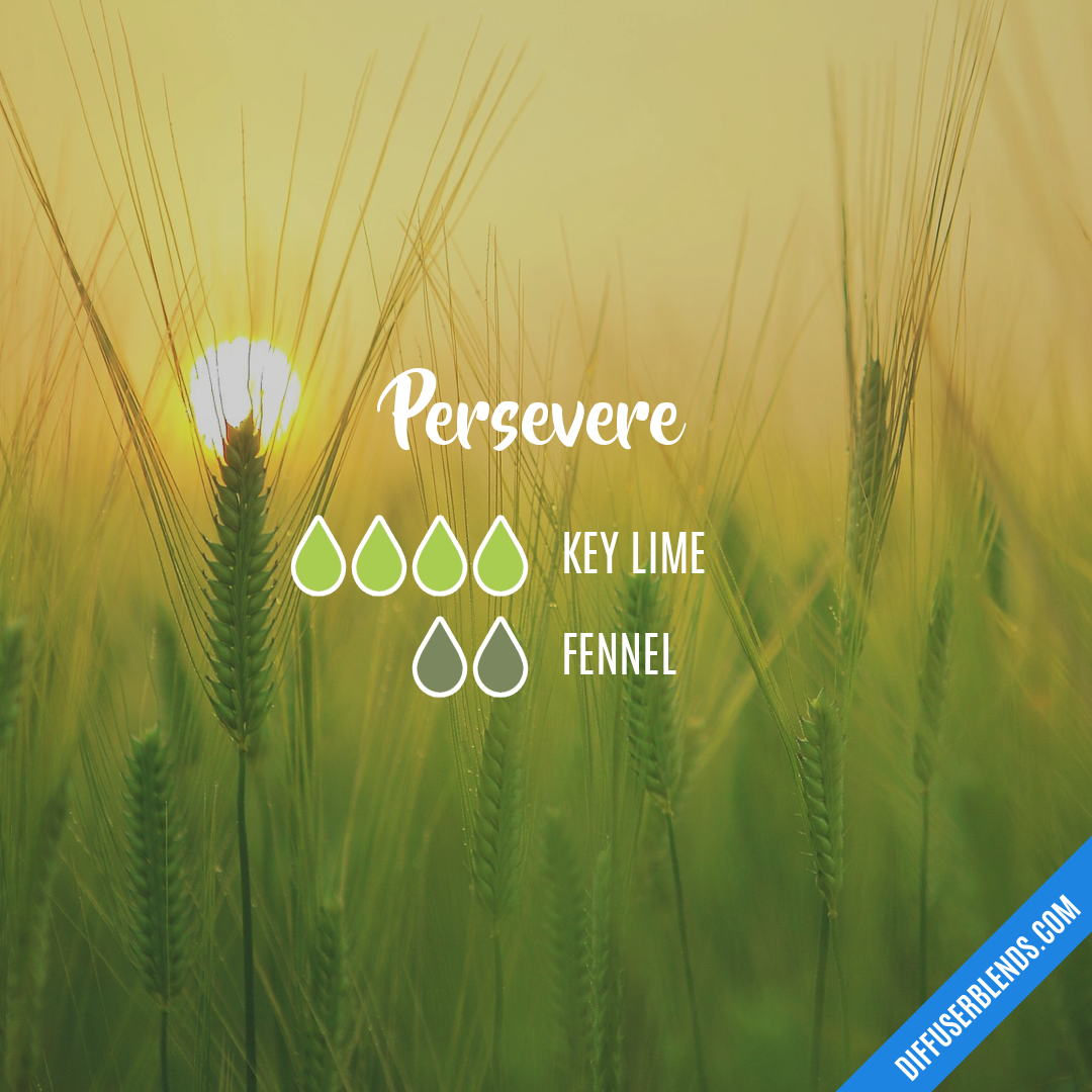 Persevere — Essential Oil Diffuser Blend