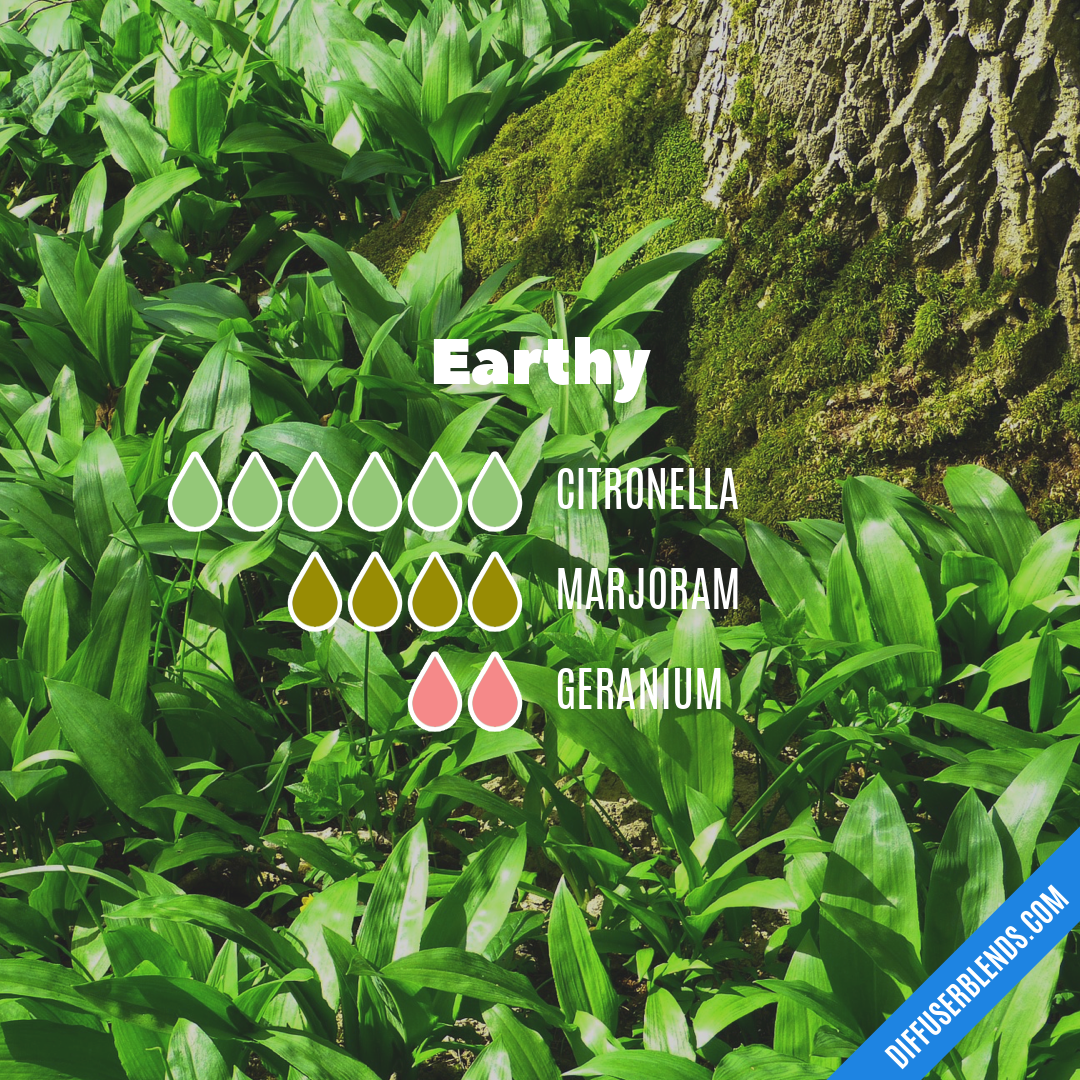 Earthy — Essential Oil Diffuser Blend