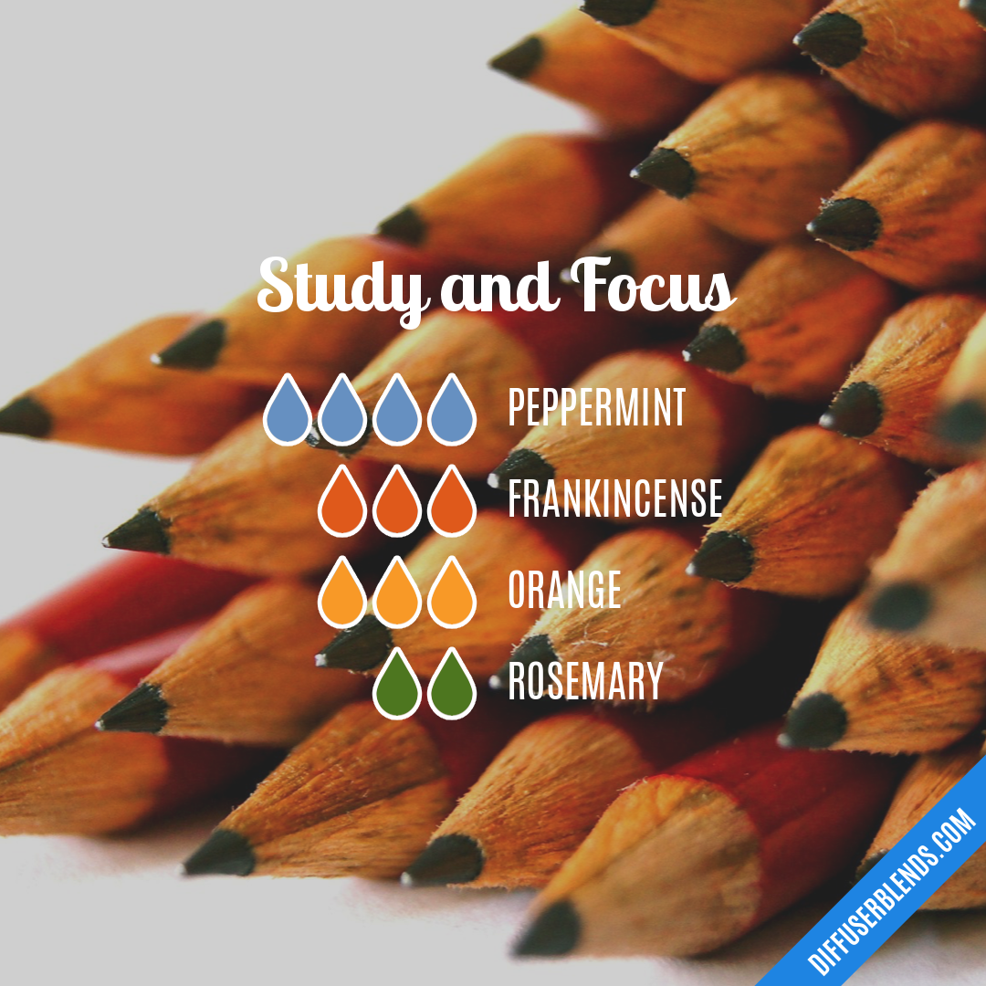 Study and Focus — Essential Oil Diffuser Blend