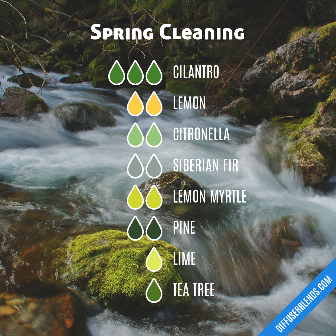 Spring Cleaning — Essential Oil Diffuser Blend