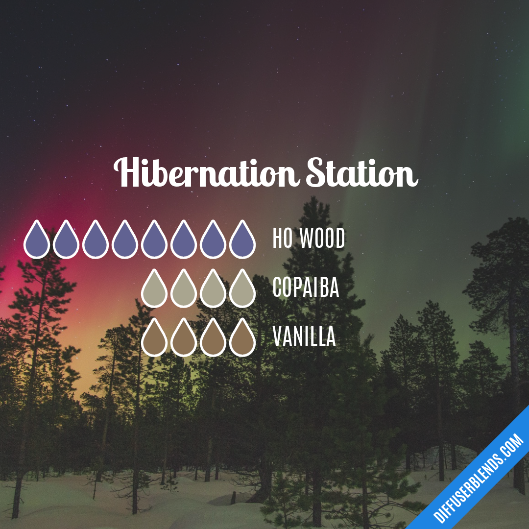 Hibernation Station — Essential Oil Diffuser Blend