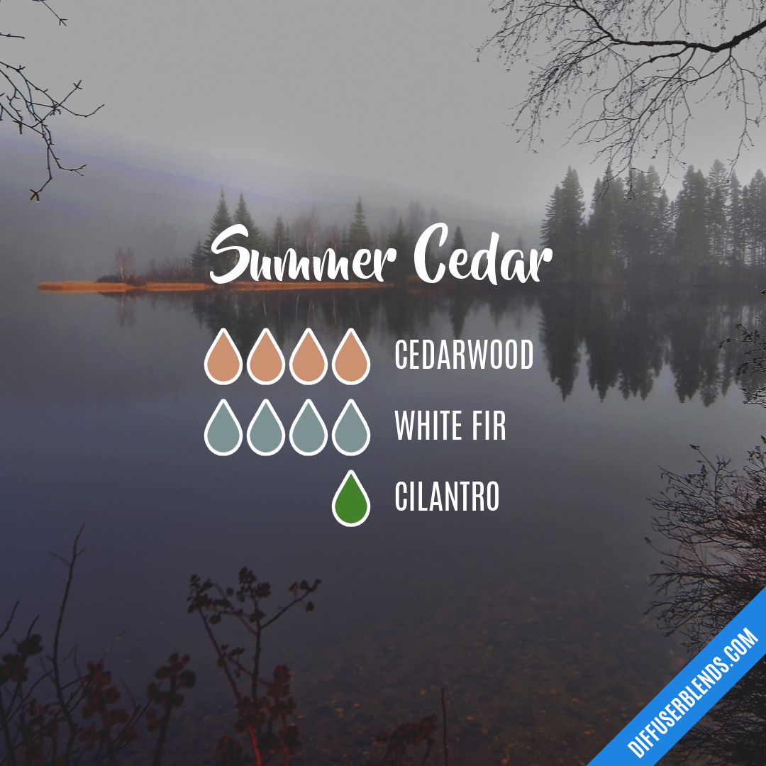 Summer Cedar — Essential Oil Diffuser Blend
