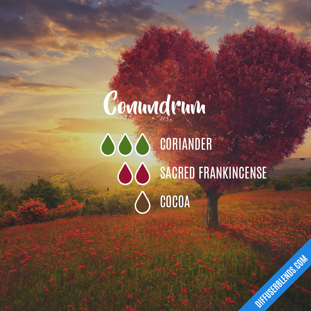 Conundrum — Essential Oil Diffuser Blend