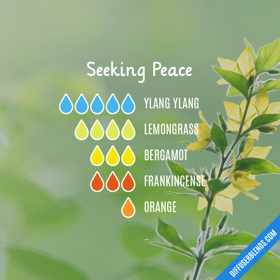 Seeking Peace — Essential Oil Diffuser Blend