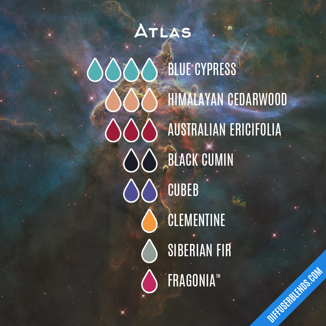 Atlas — Essential Oil Diffuser Blend