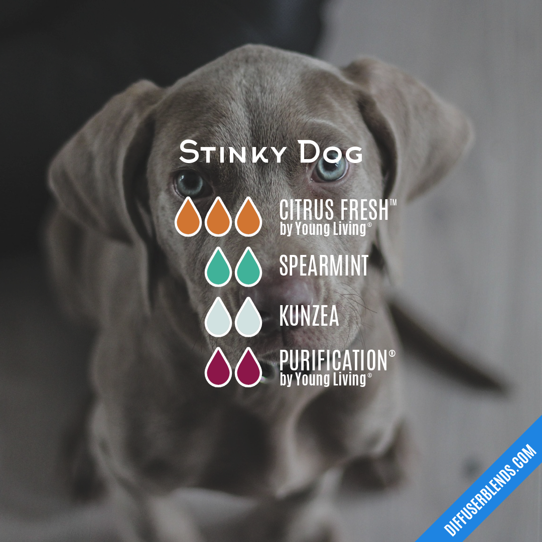 Stinky Dog — Essential Oil Diffuser Blend