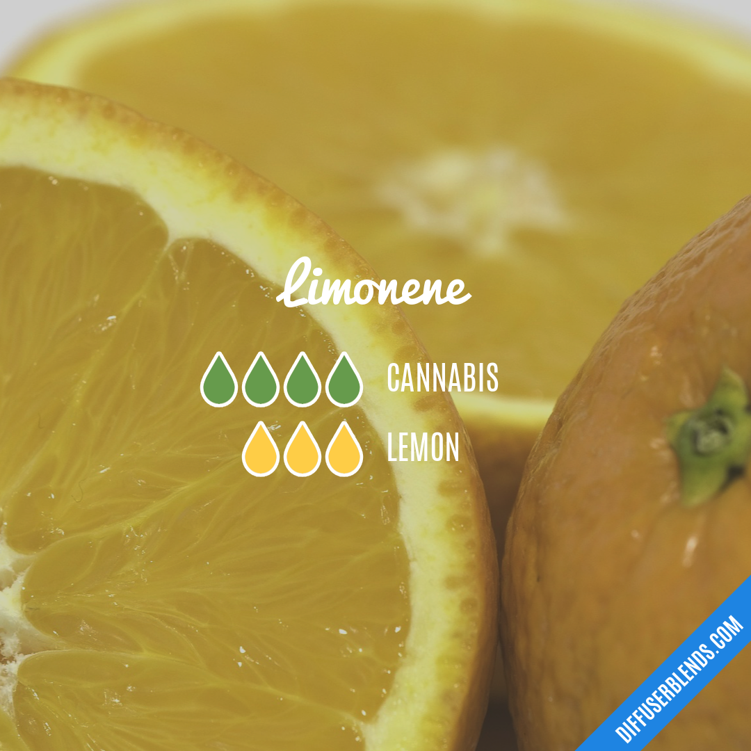 Limonene — Essential Oil Diffuser Blend