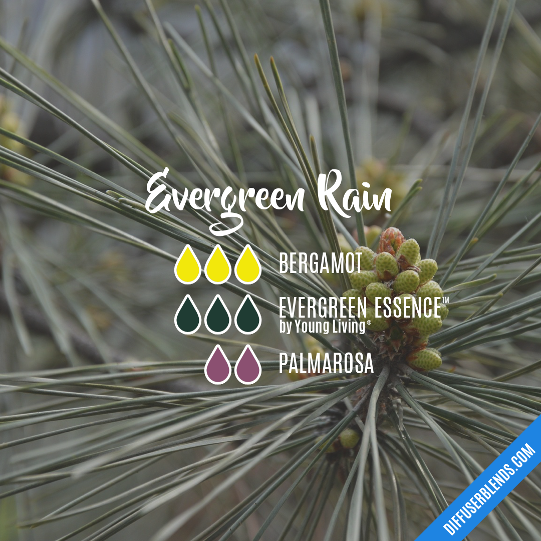 Evergreen Rain — Essential Oil Diffuser Blend