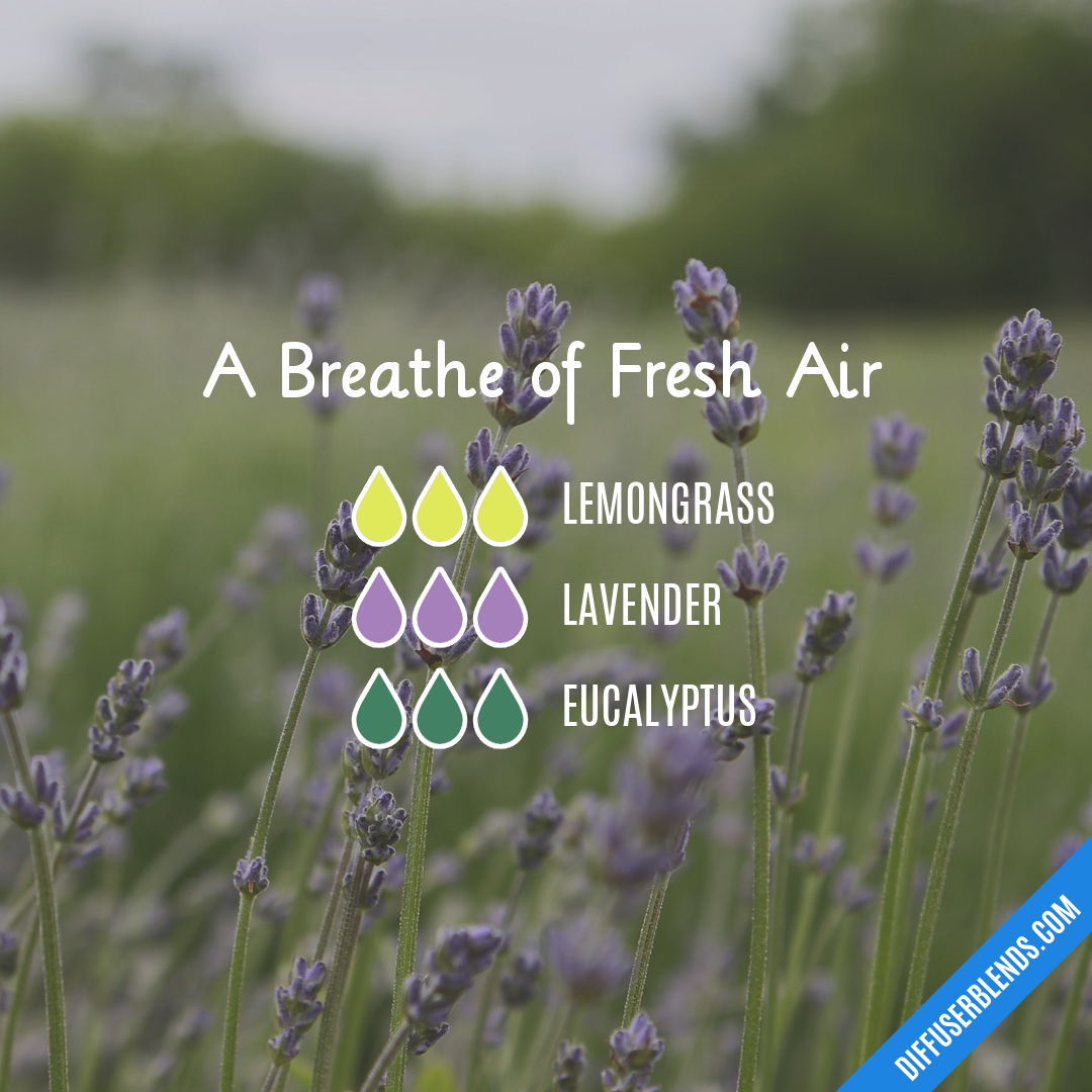 A Breathe of Fresh Air — Essential Oil Diffuser Blend