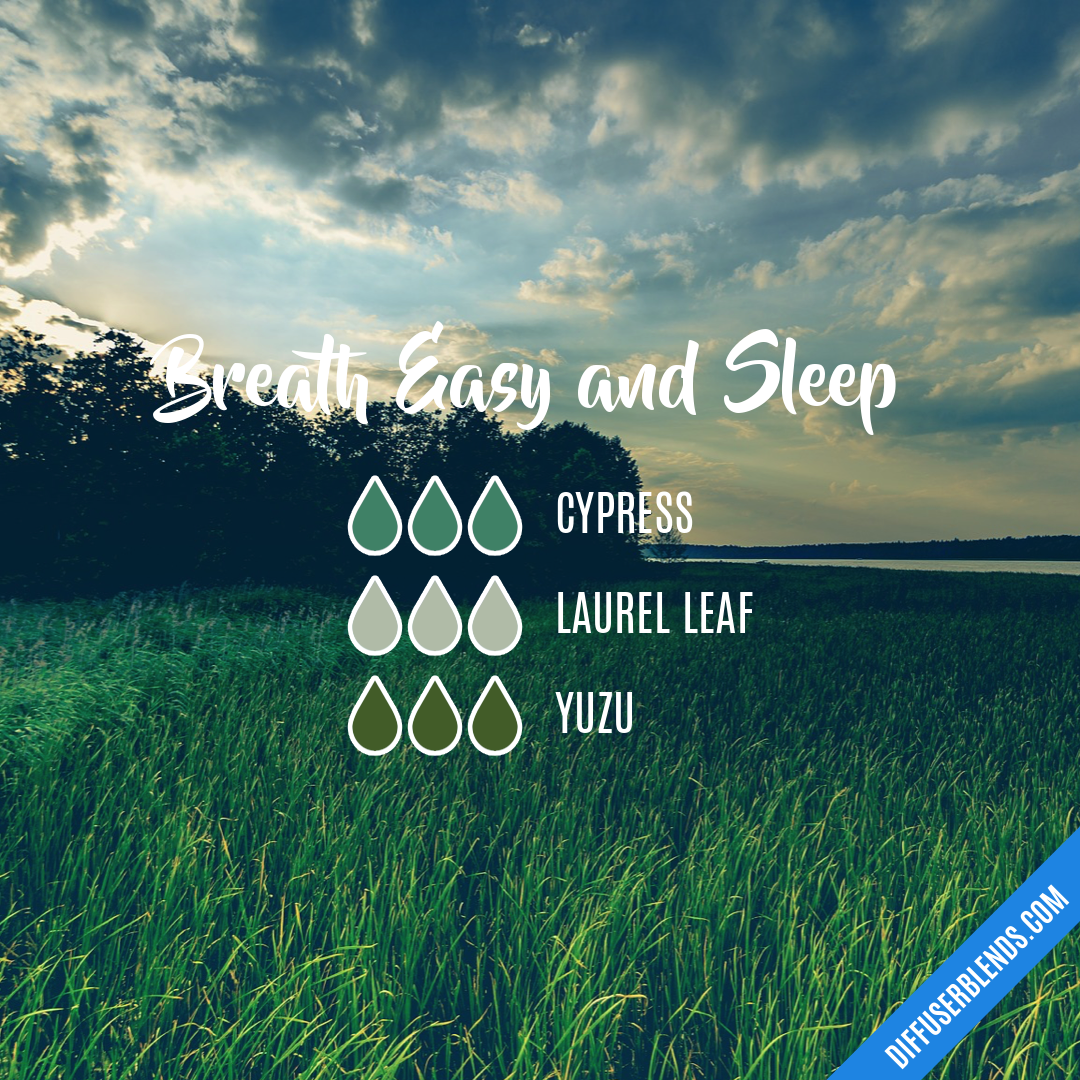 Breath Easy and Sleep — Essential Oil Diffuser Blend