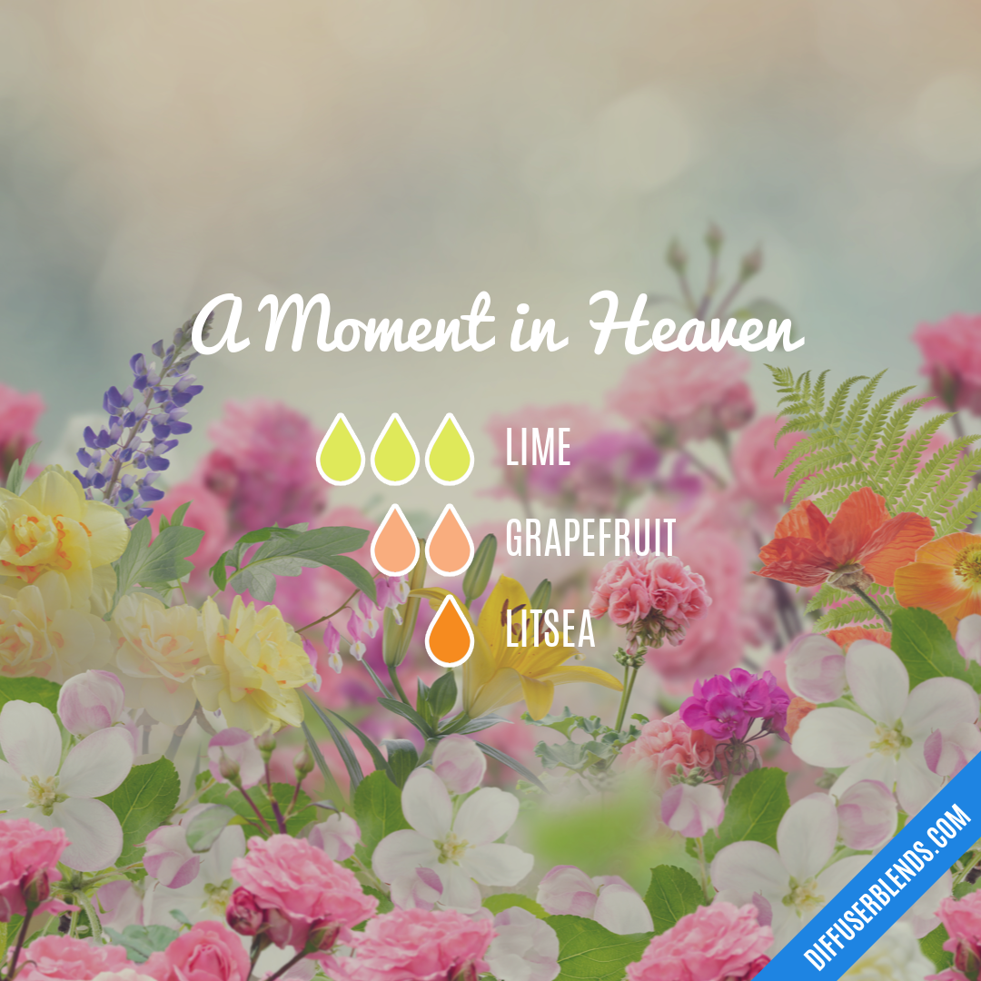 A Moment in Heaven — Essential Oil Diffuser Blend