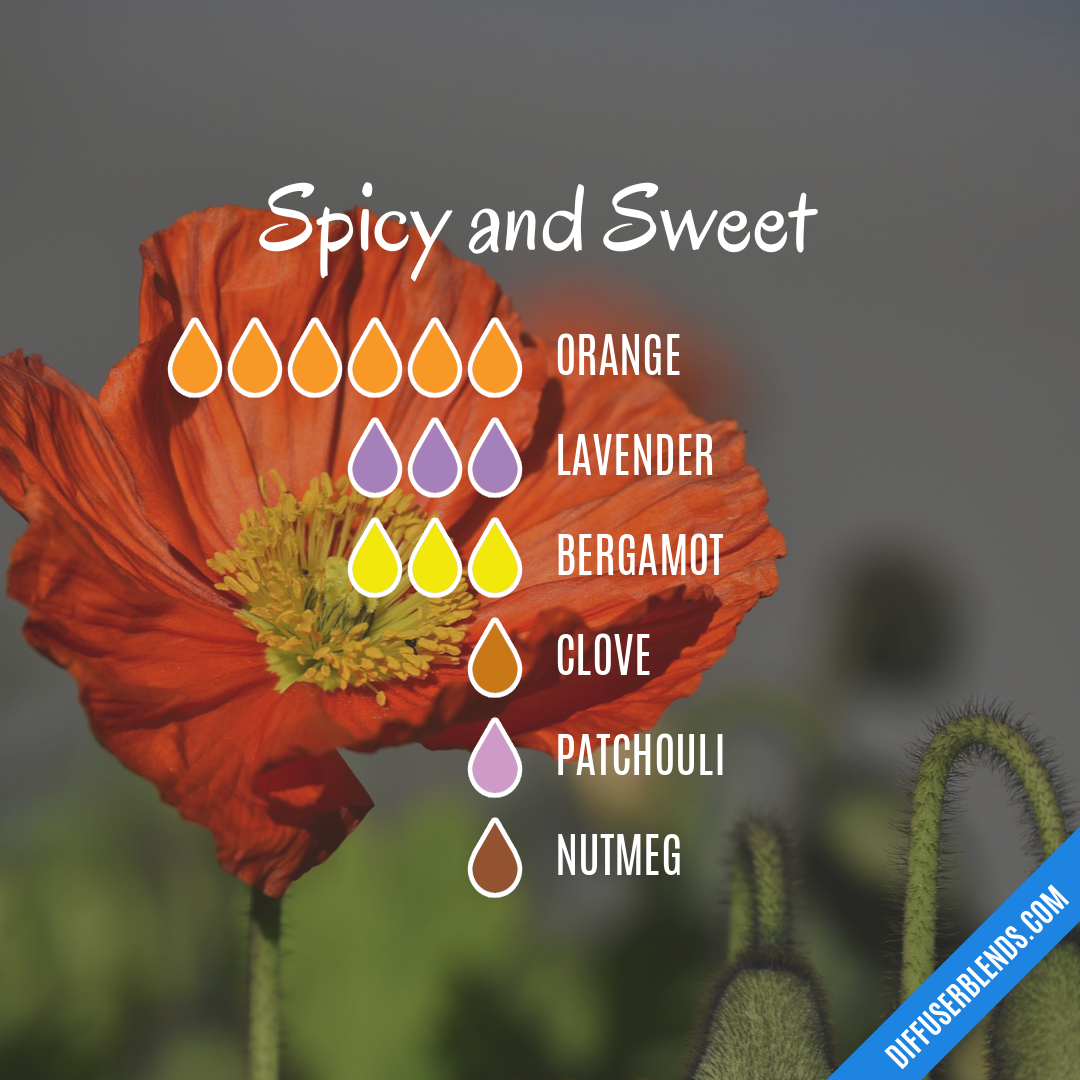 Spicy and Sweet — Essential Oil Diffuser Blend