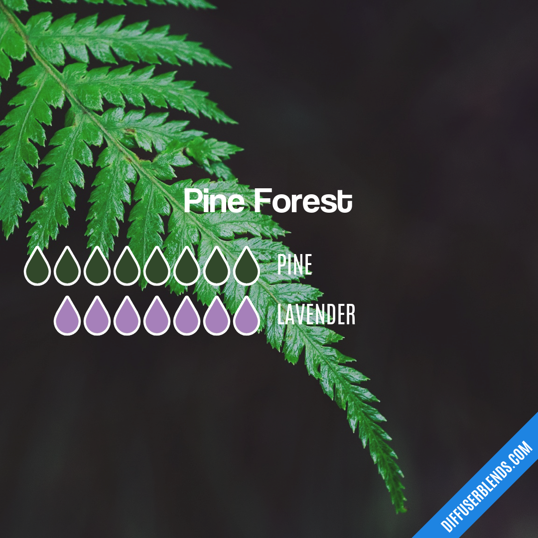 Pine Forest — Essential Oil Diffuser Blend