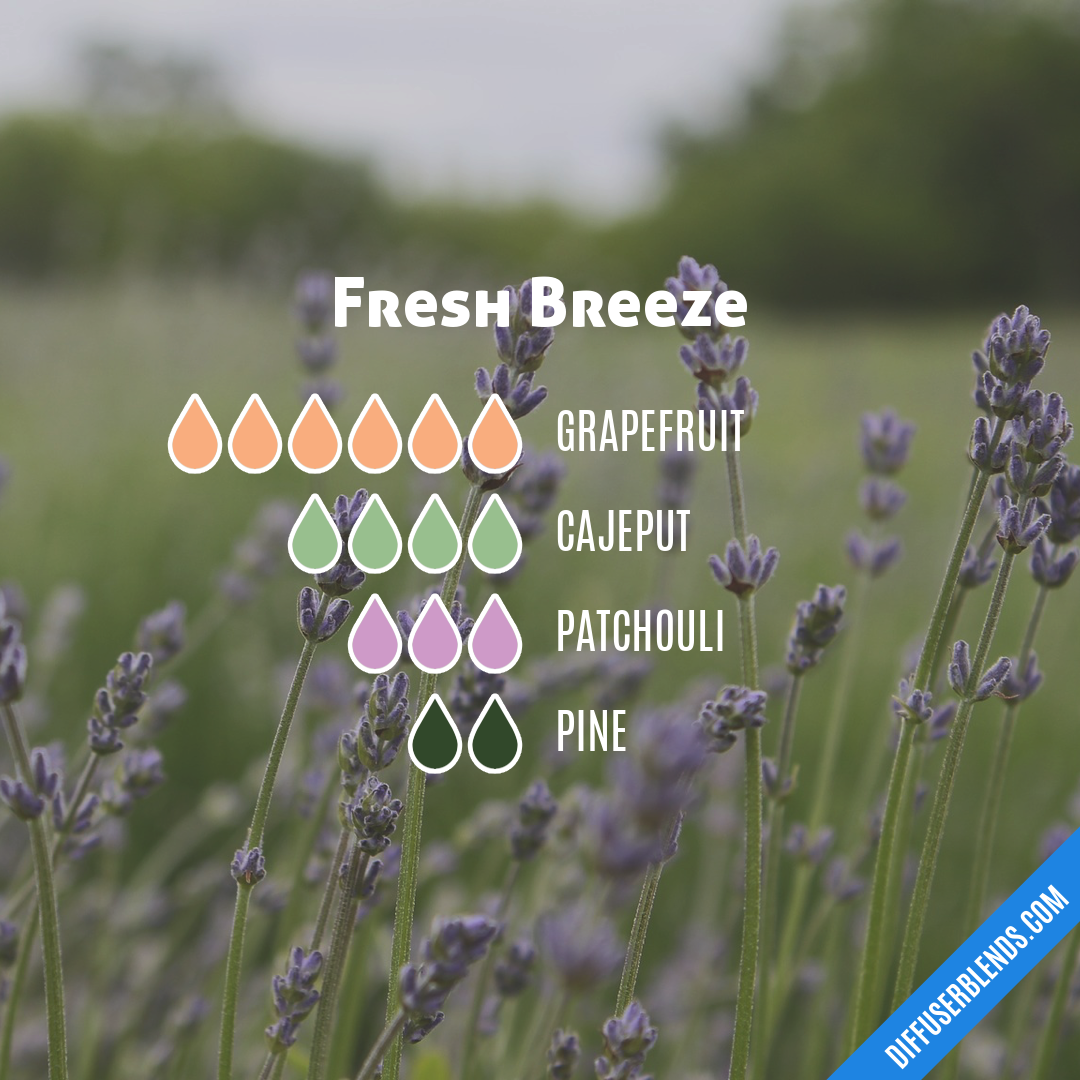 Fresh Breeze — Essential Oil Diffuser Blend