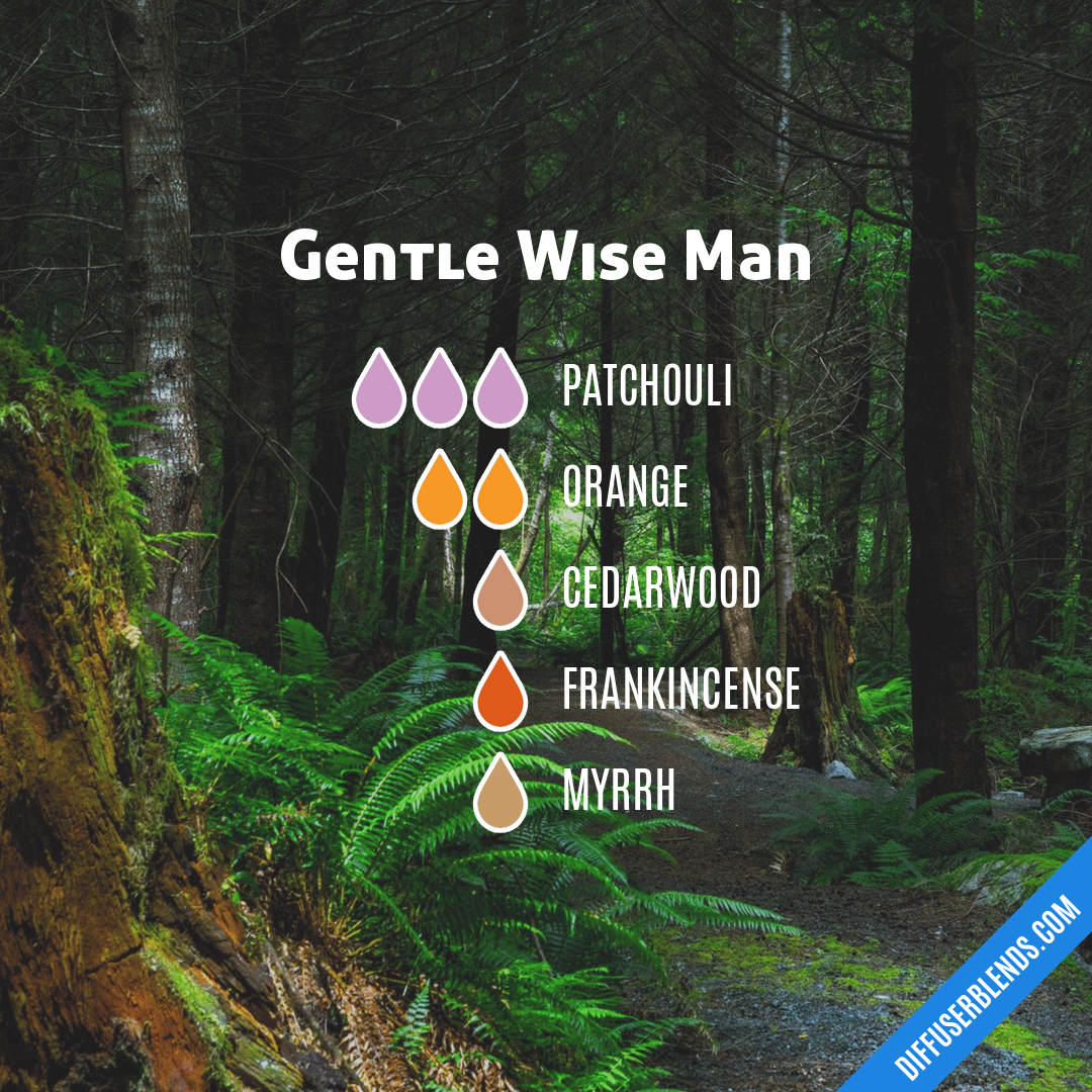 Gentle Wise Man — Essential Oil Diffuser Blend