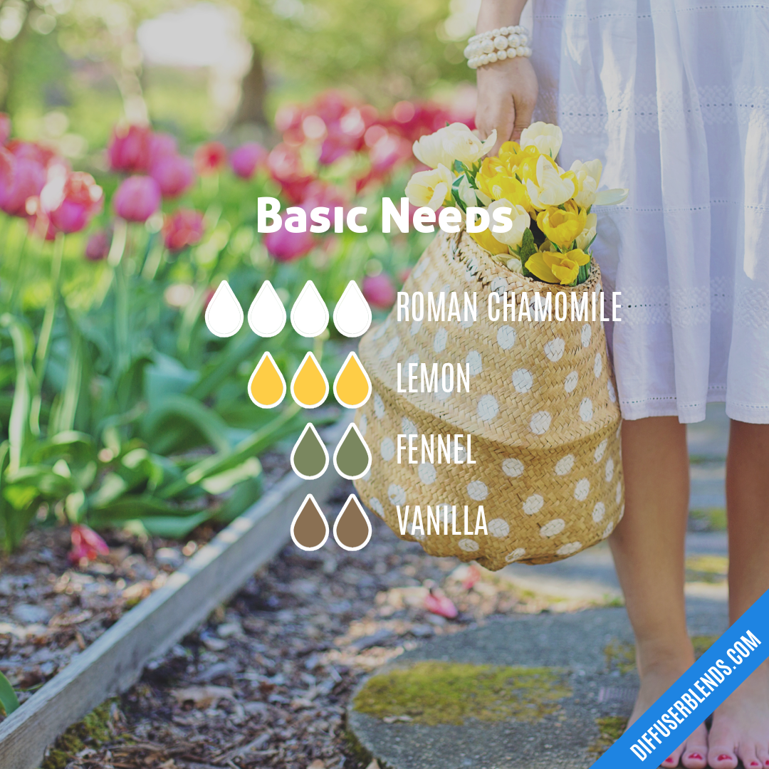 Basic Needs — Essential Oil Diffuser Blend