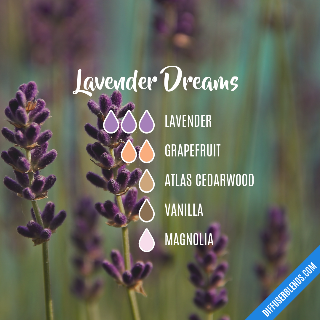 Lavender Dreams — Essential Oil Diffuser Blend