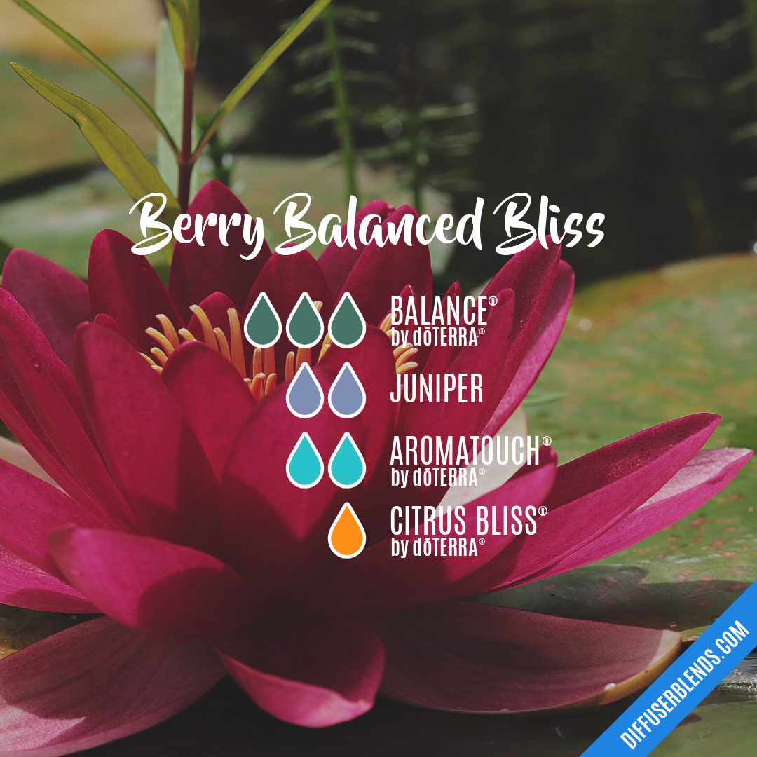 Berry Balanced Bliss — Essential Oil Diffuser Blend