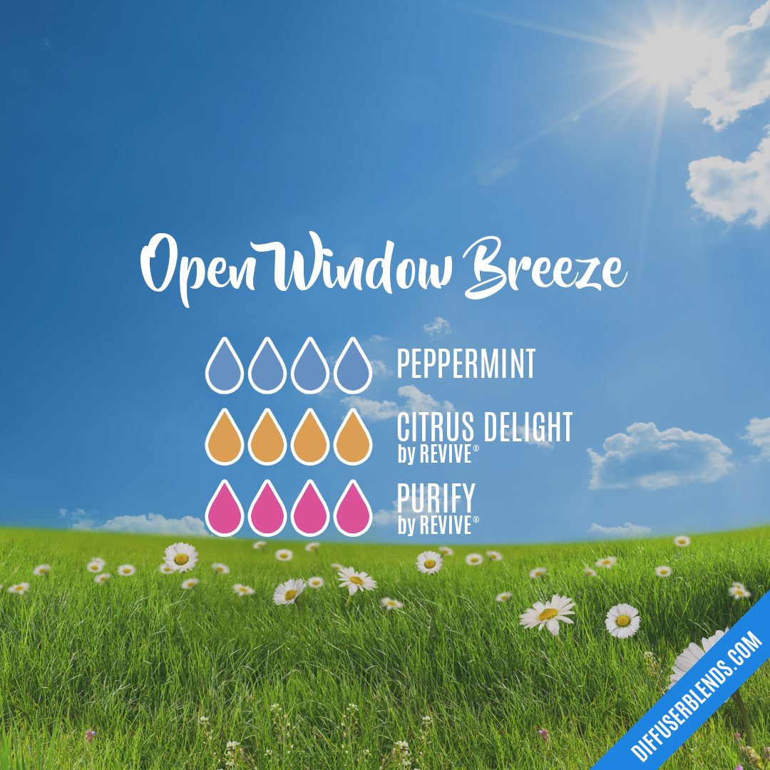 Open Window Breeze — Essential Oil Diffuser Blend