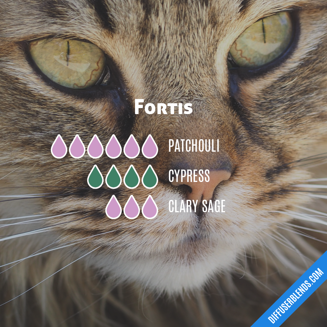 Fortis — Essential Oil Diffuser Blend