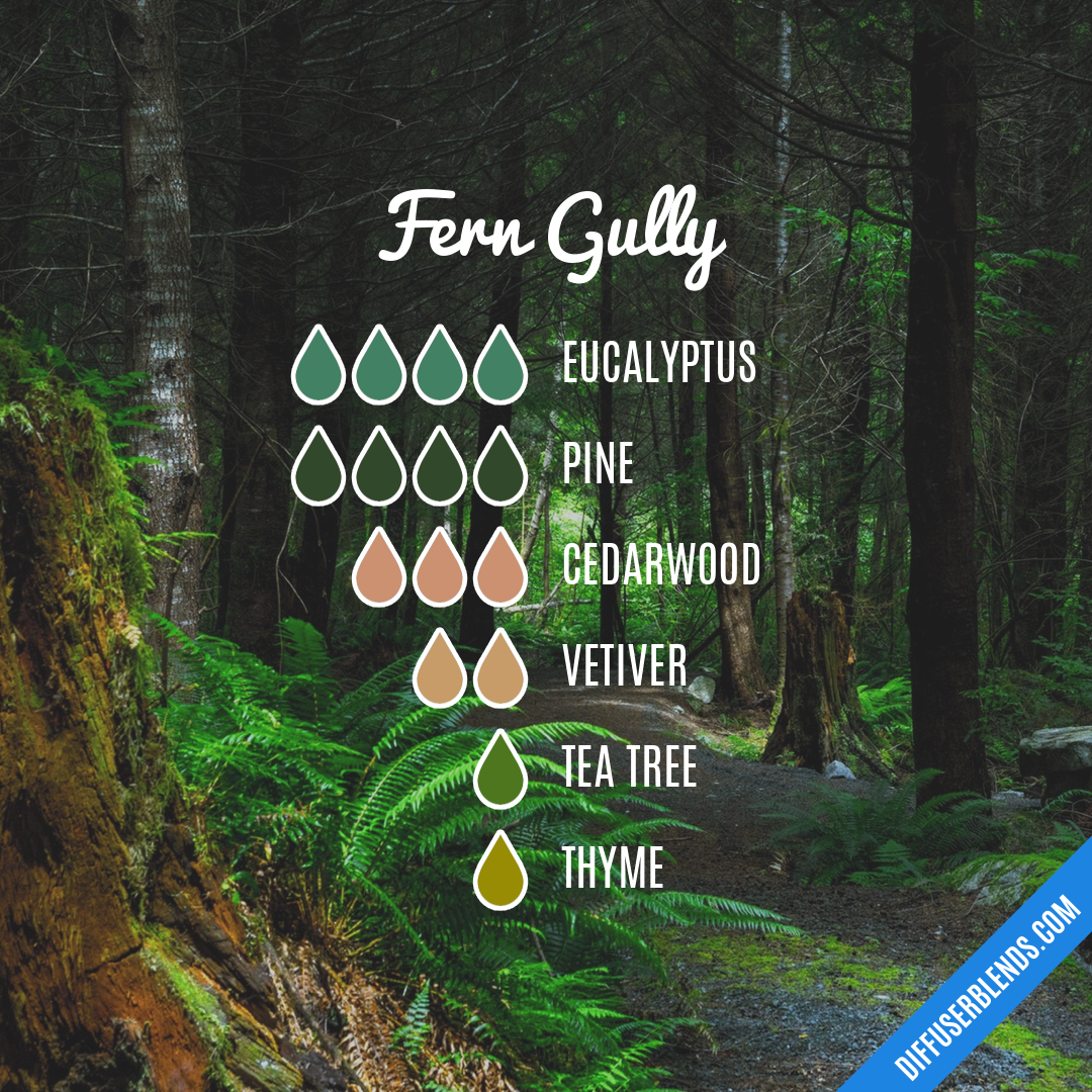 Fern Gully — Essential Oil Diffuser Blend