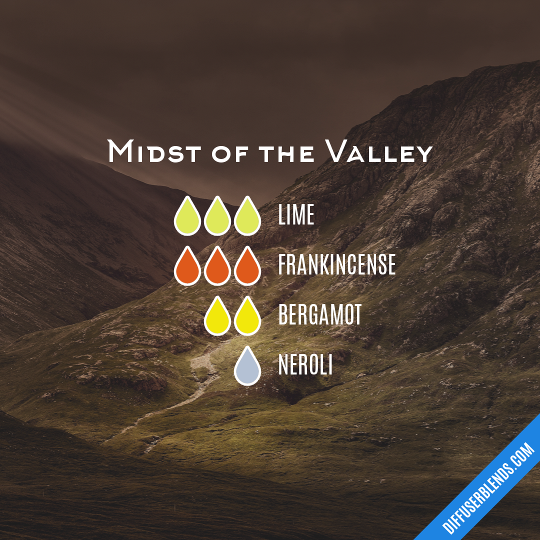 Midst of the Valley — Essential Oil Diffuser Blend