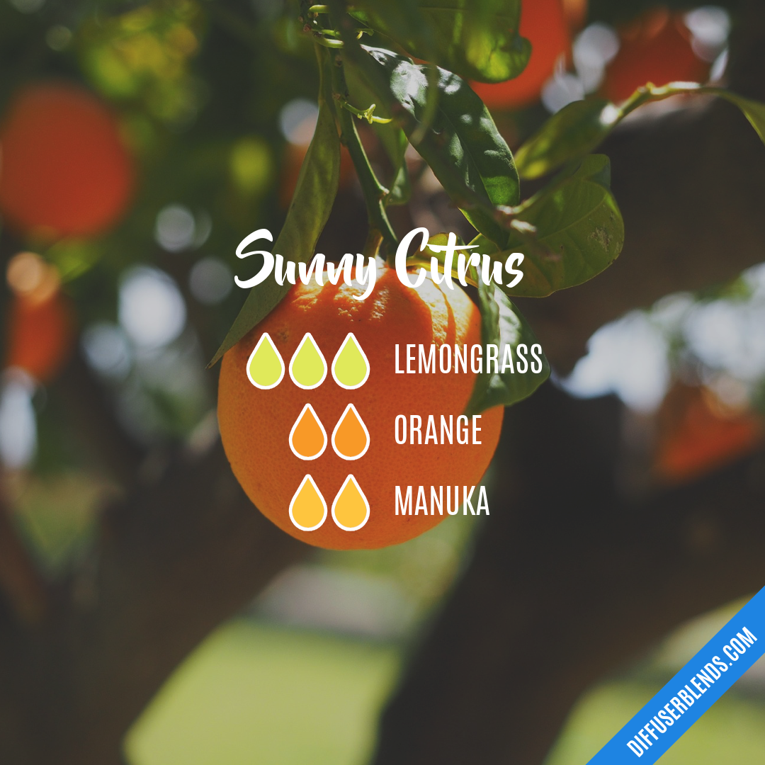 Sunny Citrus — Essential Oil Diffuser Blend