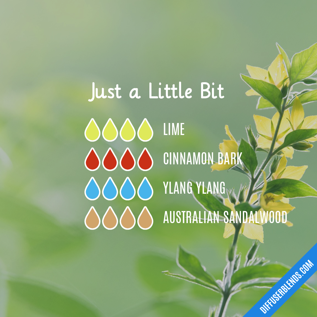 Just a Little Bit — Essential Oil Diffuser Blend