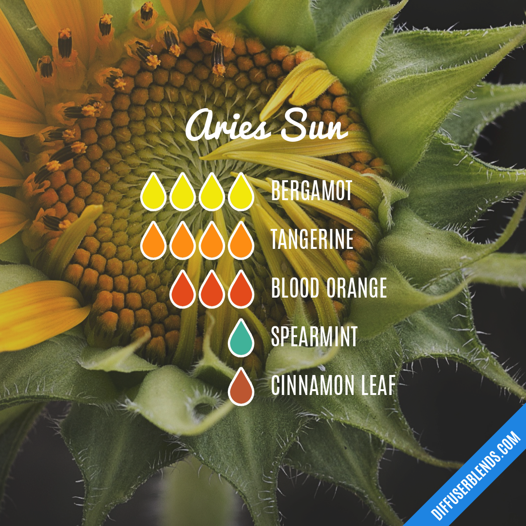 Aries Sun — Essential Oil Diffuser Blend