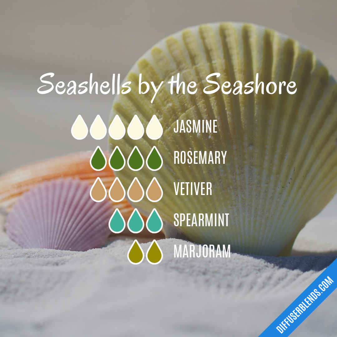 Seashells by the Seashore | DiffuserBlends.com