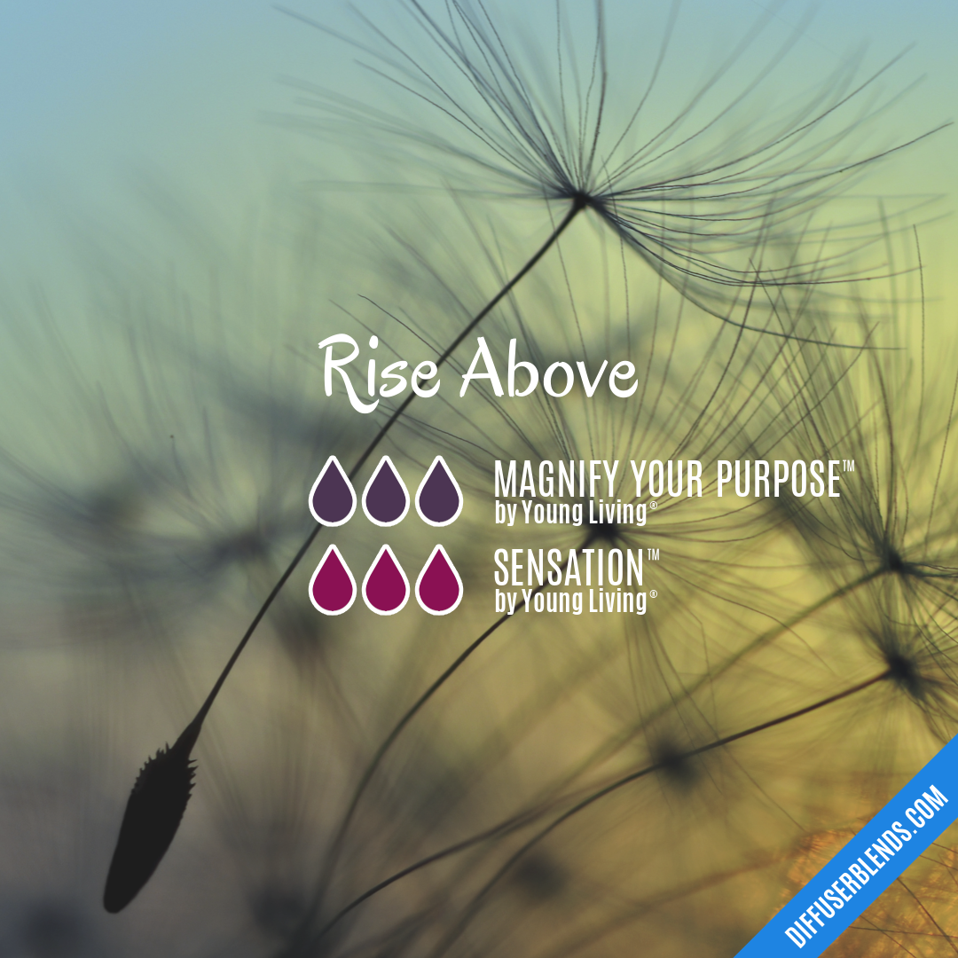 Rise Above | DiffuserBlends.com