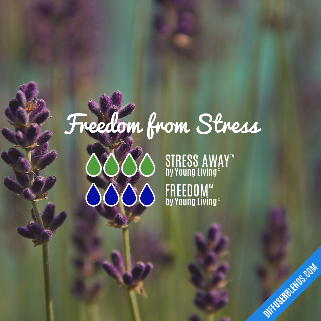 Freedom from Stress — Essential Oil Diffuser Blend