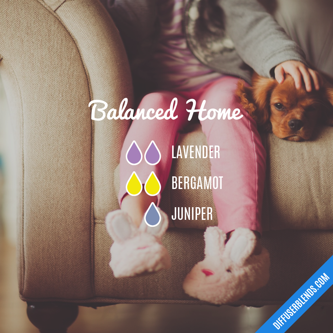 Balanced Home — Essential Oil Diffuser Blend