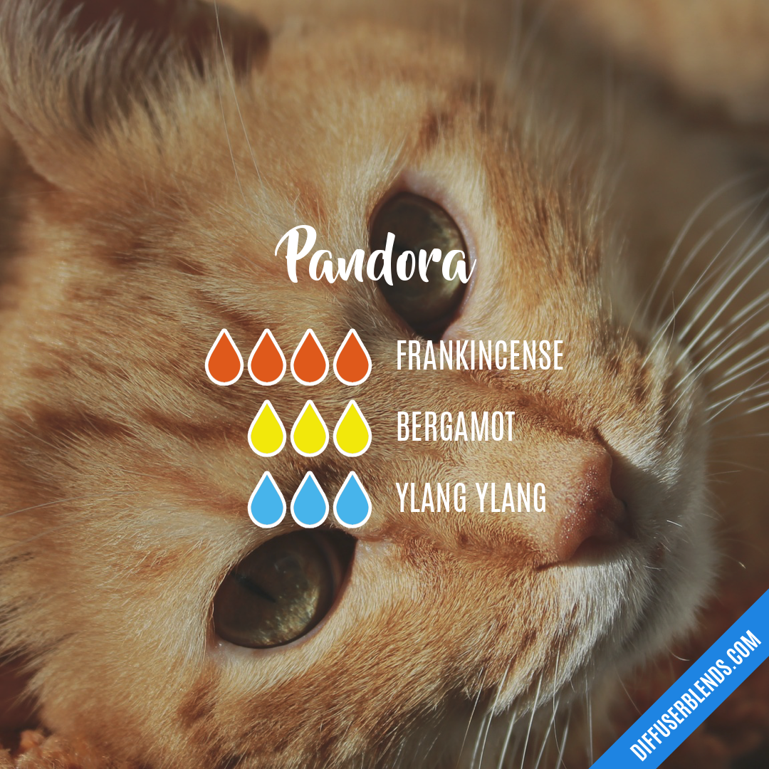 Pandora — Essential Oil Diffuser Blend