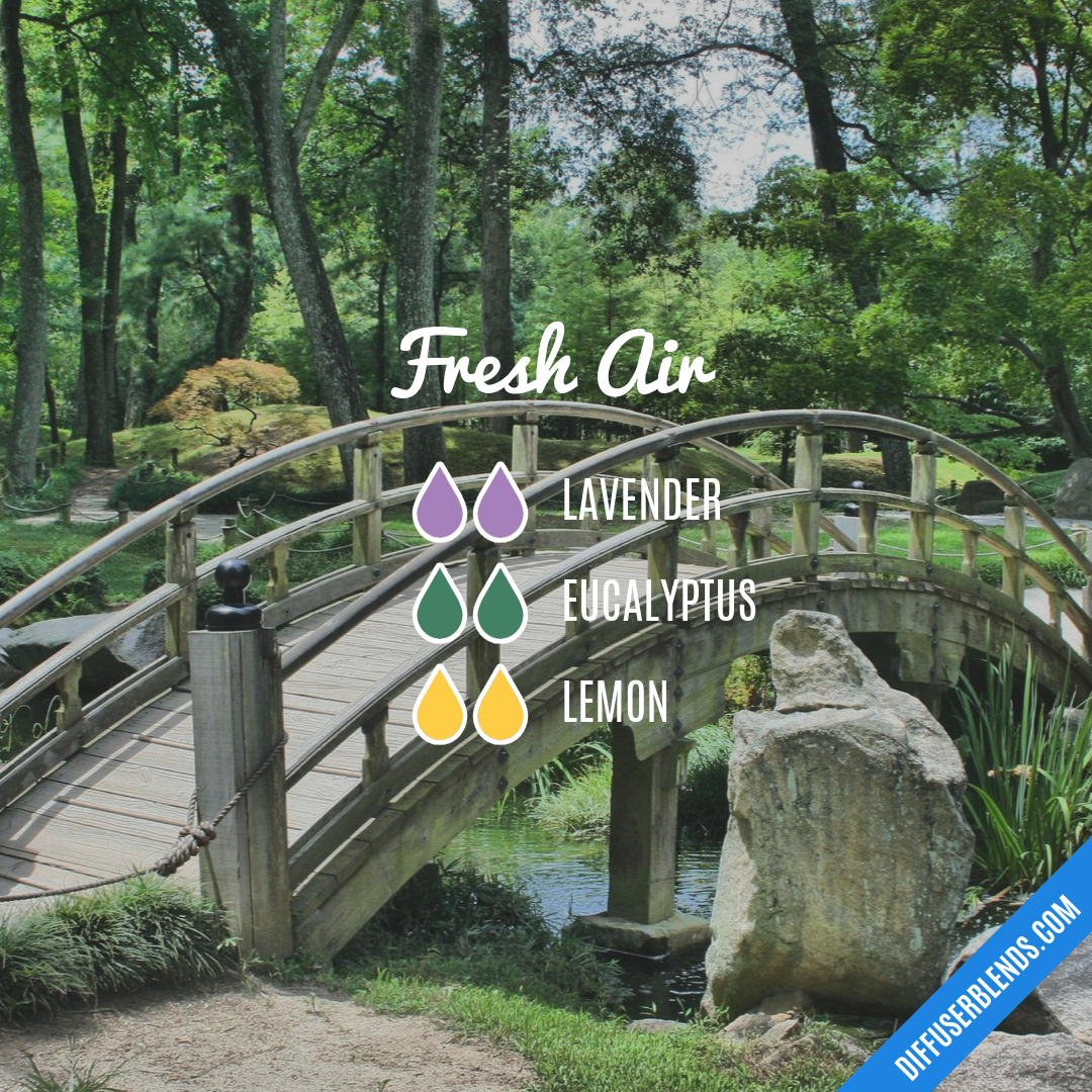 Fresh Air — Essential Oil Diffuser Blend