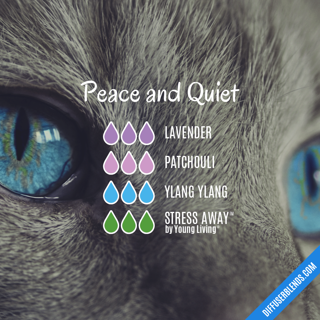 Peace and Quiet — Essential Oil Diffuser Blend